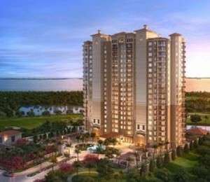 altaira-300×260